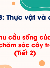 Chủ đề 3 - Bài 13 Nhu cầu sống của thực vật và chăm sóc cây trồng (Tiết 2)